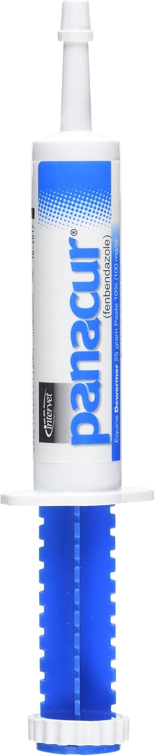 Panacur Equine Paste 10% Dewormer, Single Syringe