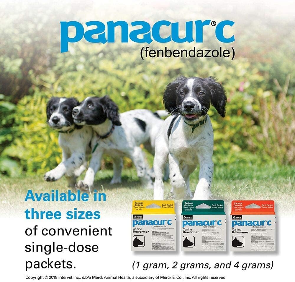 Granules that vanish into breakfast